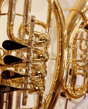Tenor- und Baritonhörner