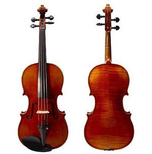 Modern Viola with a Two-Piece Back