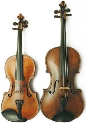 Violin & Viola Side by Side