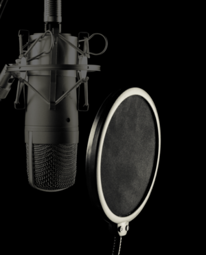 Accessoires pour microphones