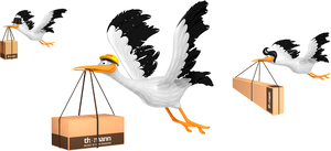 birds