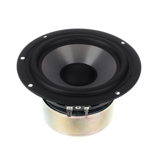 ESI Woofer for nEar05 MKII
