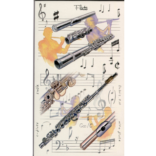 Music Sales Pocket Notepad: Flute