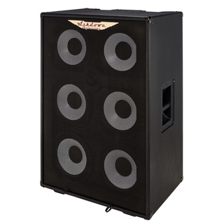 Ashdown RM-610T-EVO Bass Cabinet