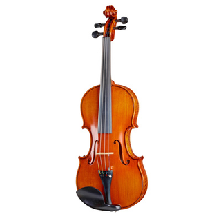 Gewa Maestro 35 Stradivari Violin