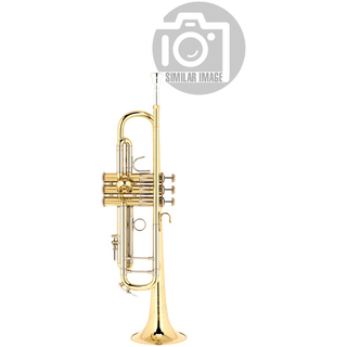 Bach ML19043 Bb- Trumpet la B-Stock