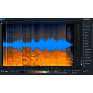 iZotope RX 8 Advanced EDU