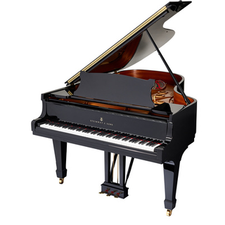 Steinway &amp; Sons A-195 (A3)