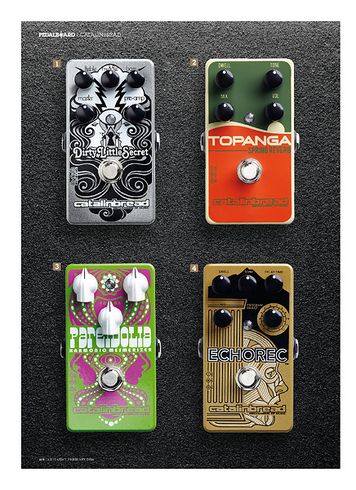 Guitarist Catalinbread Echorec Guitarist Catalinbread Echorec