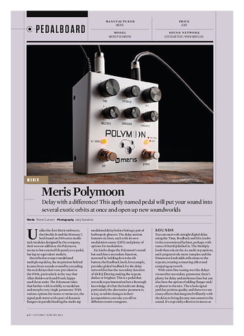 Guitarist Meris Polymoon Guitarist Meris Polymoon