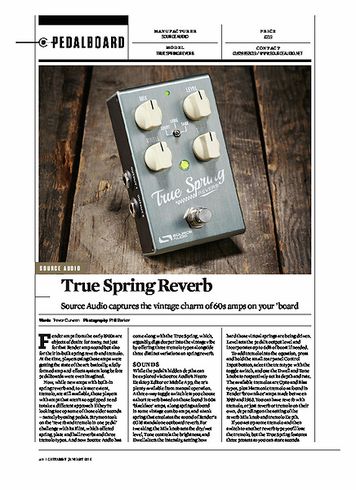 Guitarist True spring Reverb Guitarist True spring Reverb