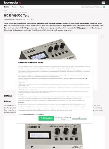 Bonedo.de BOSS VE-500 Bonedo.de BOSS VE-500