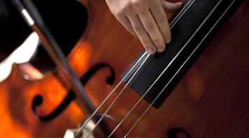 Double Basses Double Basses