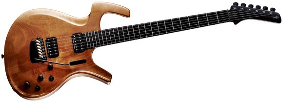 Parker Gitarre
