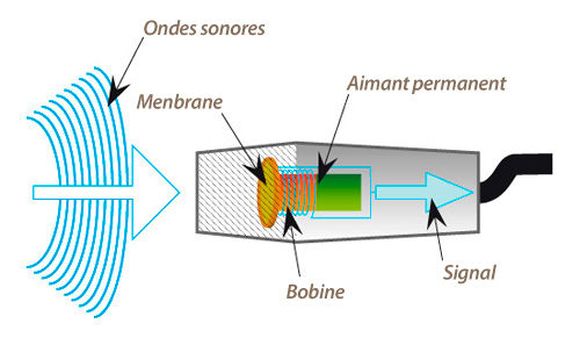 Types de microphones – Thomann France