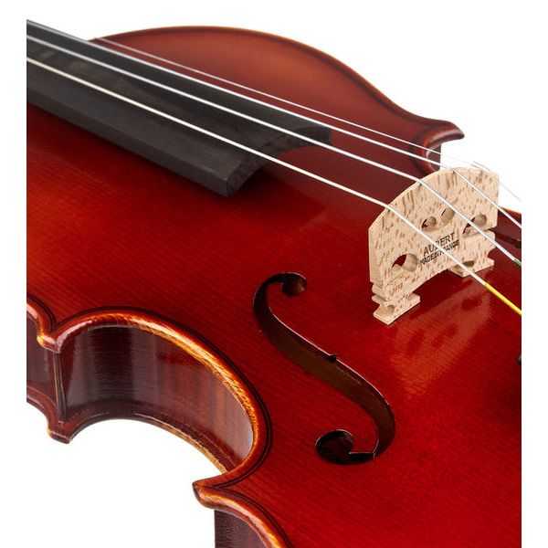 Roth & Junius RJV-A Antiqued Violin Set 4/4