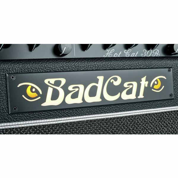 Bad Cat Hot Cat 30R USA PS 112