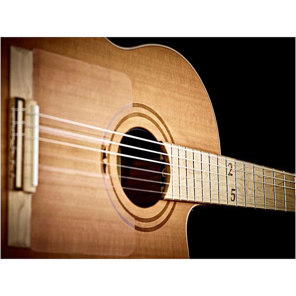 Ortega RCE179SN-25TH Guitar