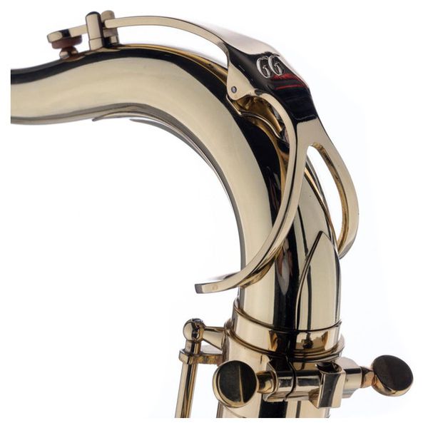 Schagerl Tenor Sax 66FL-EC