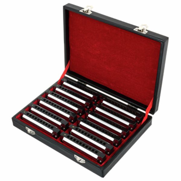 Blues Harmonica Set