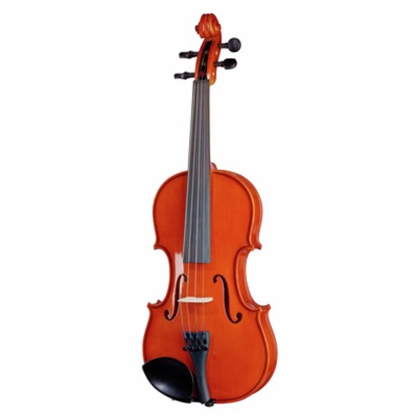 V3-SKA 3/4 Violinset