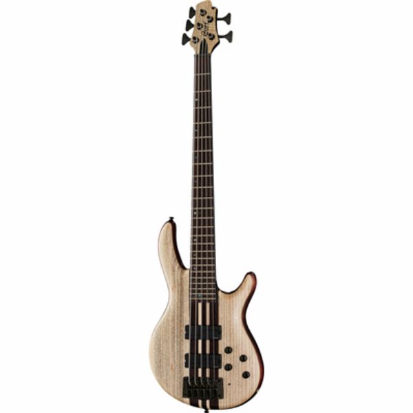 5 string cort bass guitar