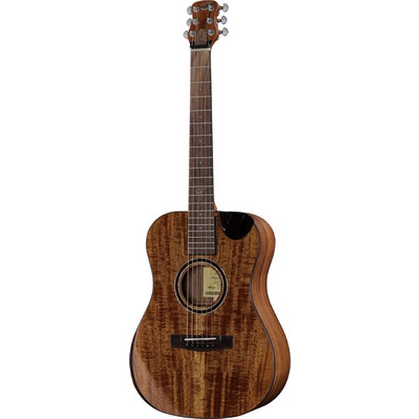 OF882C Acacia Acoustic