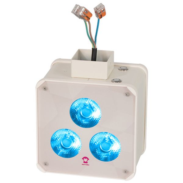 Ape Labs Double Wall Maxi V2 15° Creme