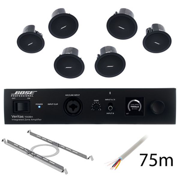 Bose Professional Veritas 1100BH/FS2C B Bundle