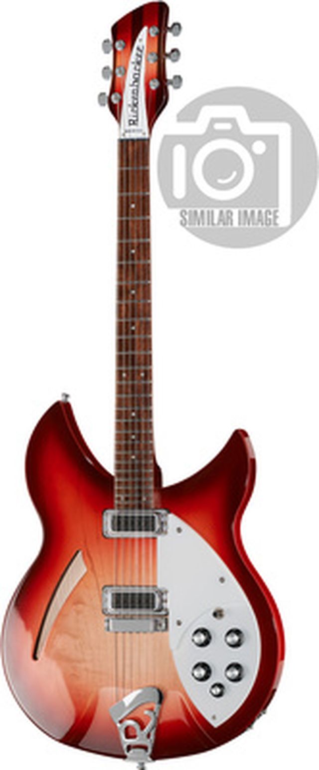 Rickenbacker 330 FG
