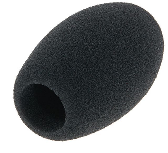Sennheiser MZW1