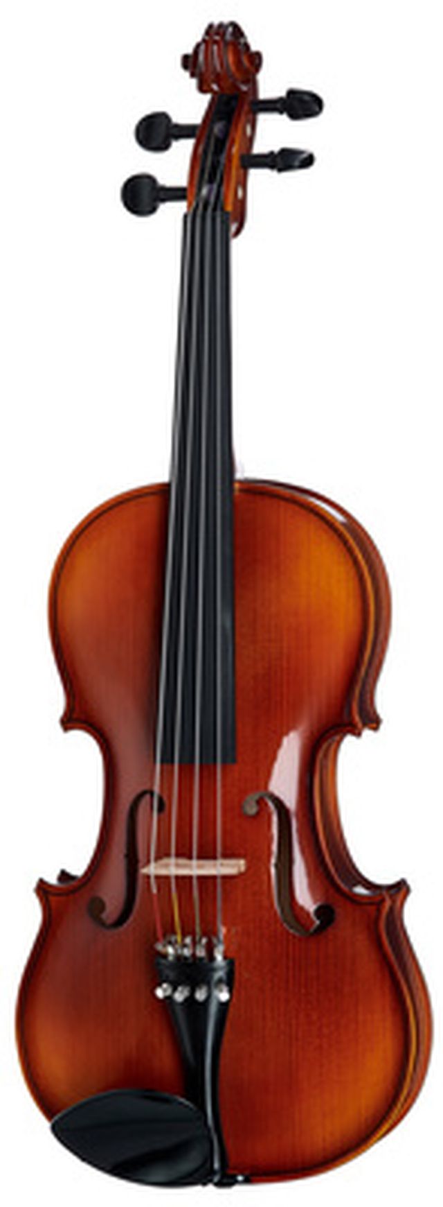 Roth & Junius Europe 14" Student Viola Set