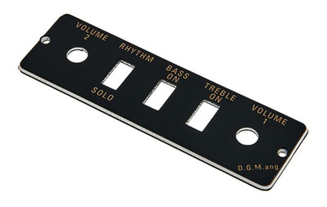 Höfner HA2B-B Black Panel only