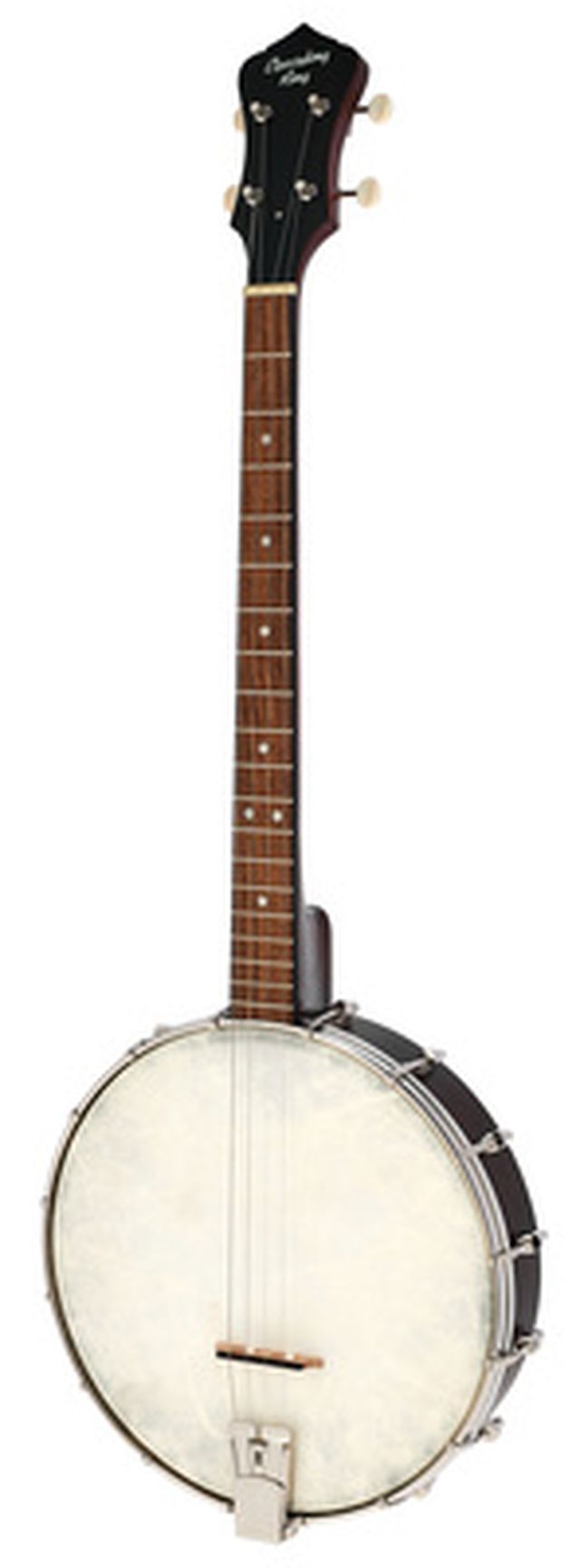 Recording King RKT-05 Dirty 30s Tenor Banjo