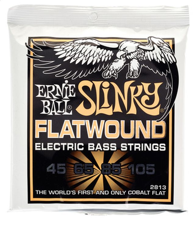 Ernie Ball 2813