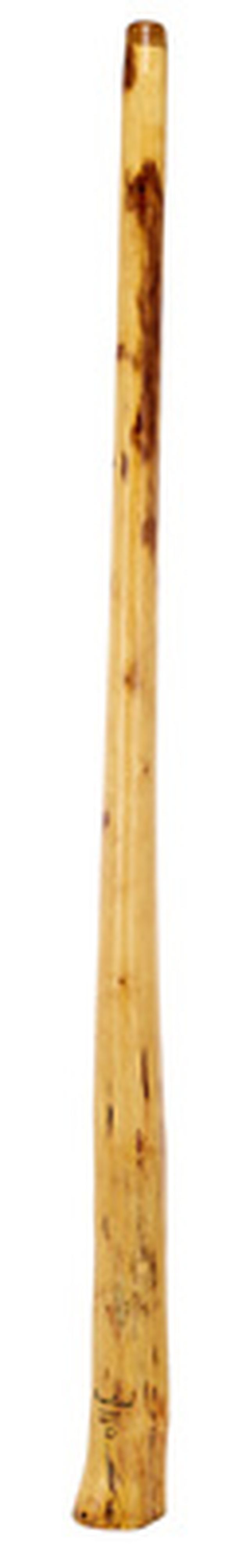 Thomann Didgeridoo Eucalyp. Proline D