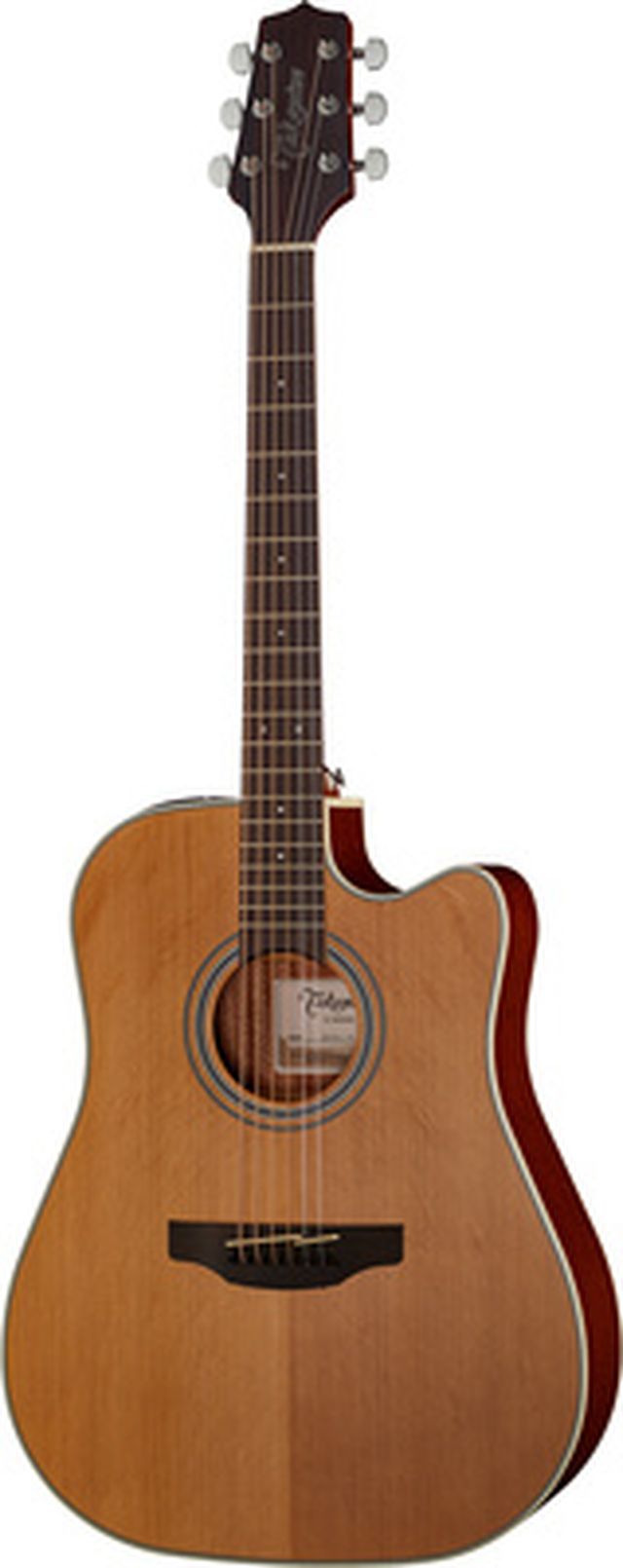Takamine GD20CE-N