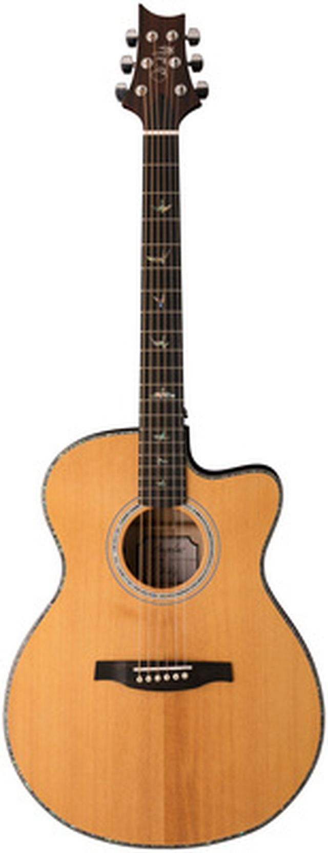 PRS SE A50E BG inc. Case