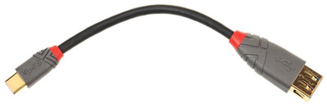 Lindy USB 3.1 Typ C Adapterkabel