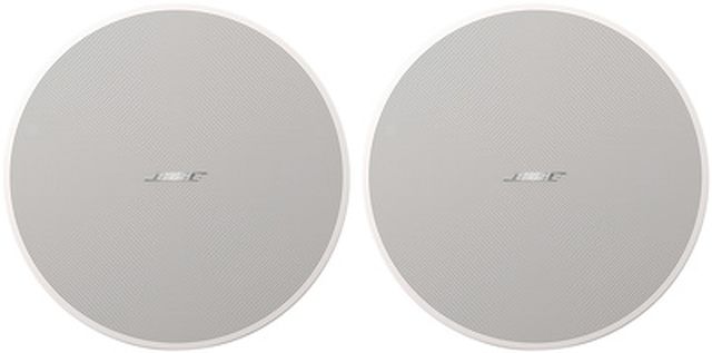 Bose Professional DesignMax DM5C white