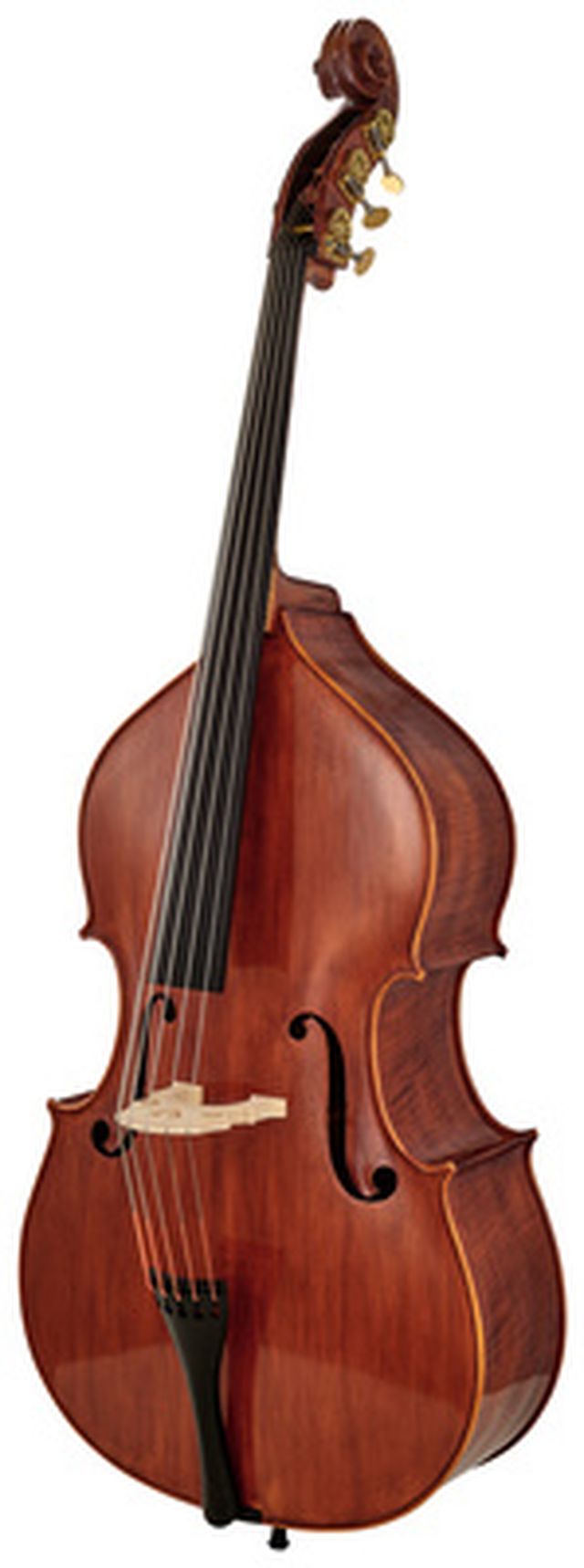 Scala Vilagio Double Bass Ceruti 5-Str. IB