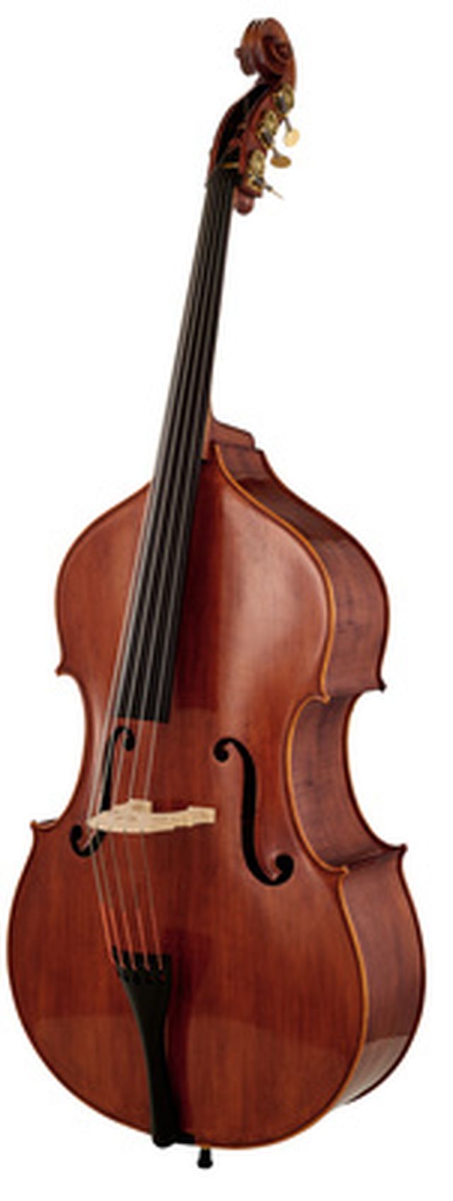 Scala Vilagio Double Bass Bucur 5-Str. IB
