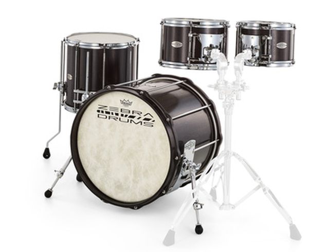 Zebra Drums Studio London Plane Tree Set