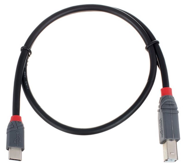 Lindy 0,5 m USB 2.0 Typ C/B Anthra