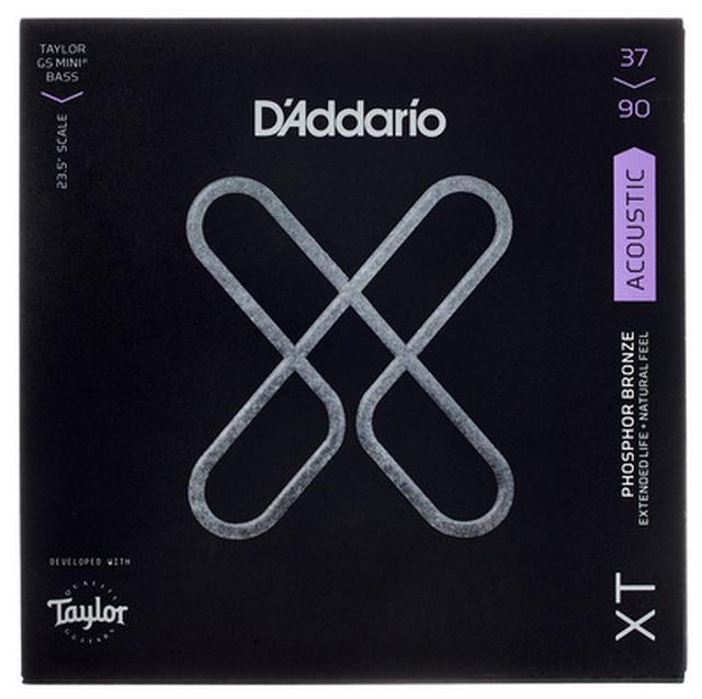 Daddario Light Acoustic Bass GS Mini
