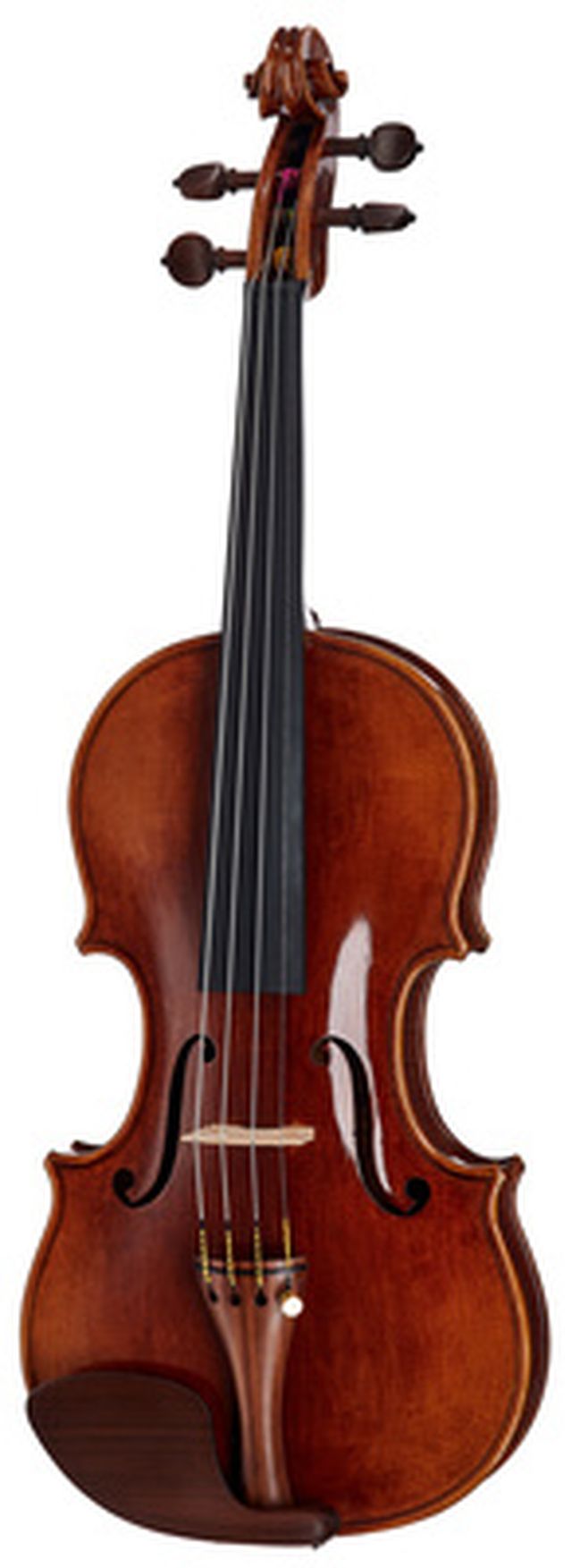 Bernd Hiller & Sohn Nicolo Amati Violin 4/4