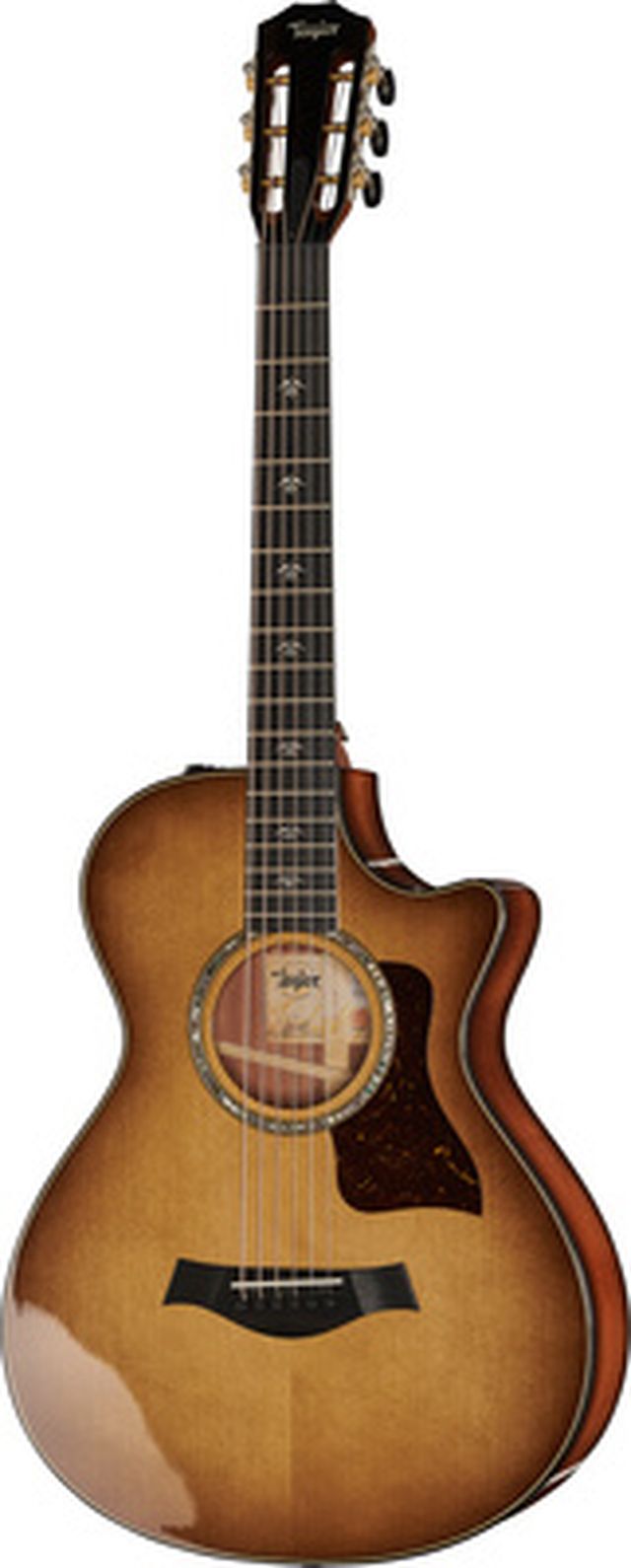 Taylor 512ce 12-Fret Urban Ironbark