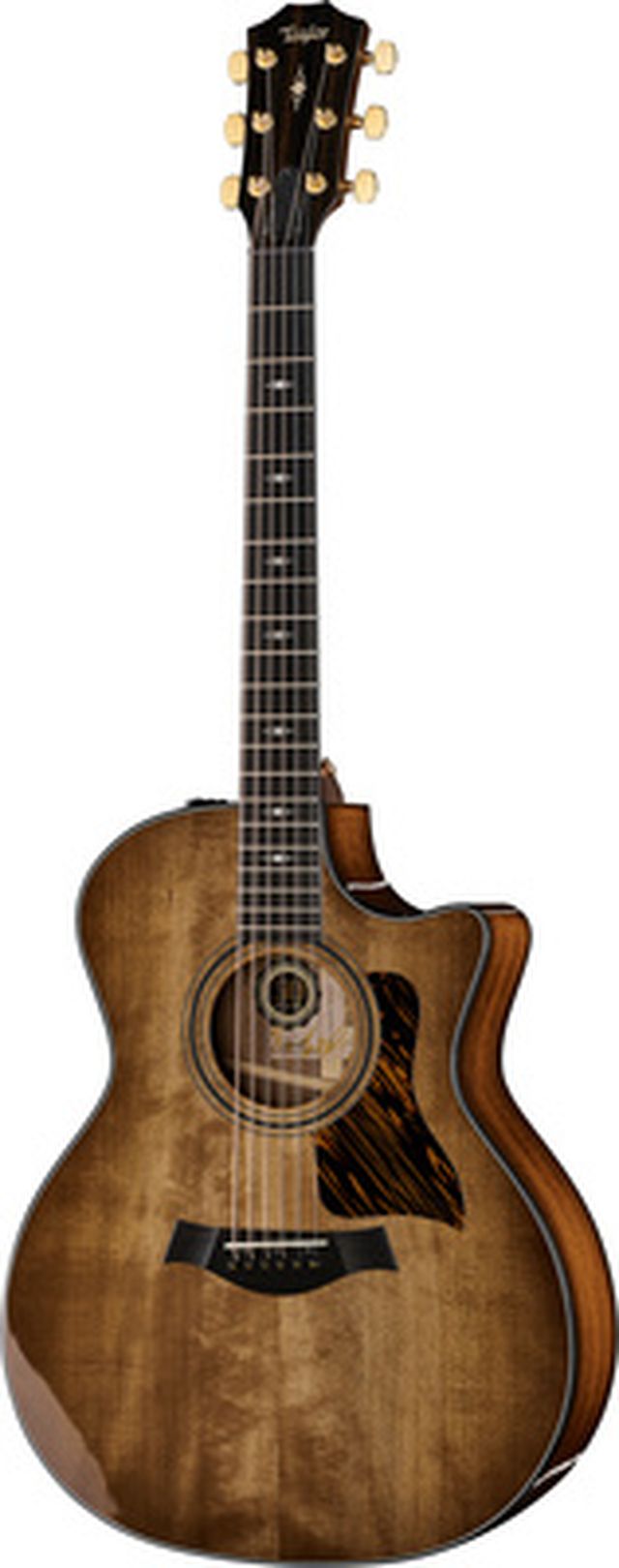 Taylor 314ce Ltd 50th