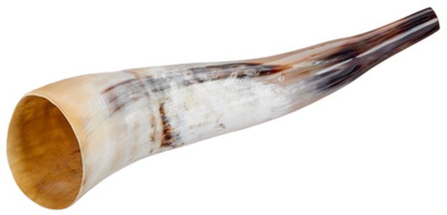 Thomann Cow Horn polished