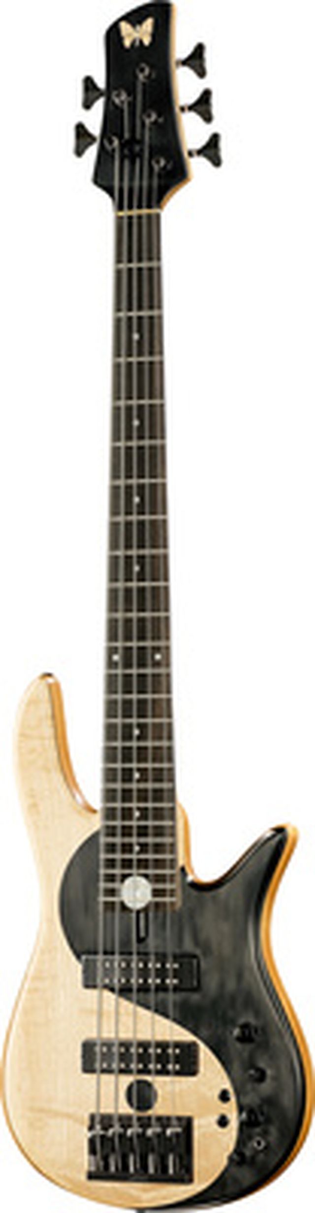 Fodera Yin Yang 5 Std. Blister Maple